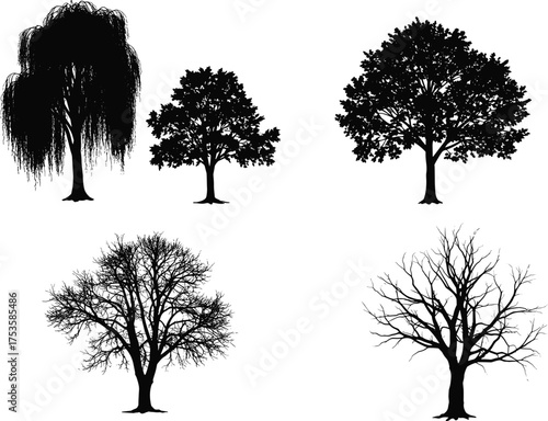 Tree silhouettes, foliage diversity, seasonal forms, weeping willow, bare branches, rounded canopy, botanical icons, black and white, nature shapes