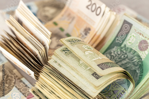 Tableau sur toile Poland money
