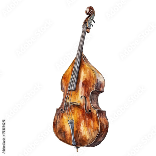 Double Bass, watercolor illustration vector, isolated on a white background.