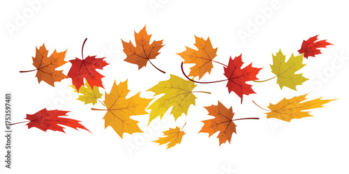 Flying fall leaves create a dynamic group. Maple leaves png. transparent background. Colorful autumn vector elements.