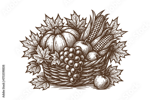Autumn harvest basket sketch with vegetables and fruits vector illustration