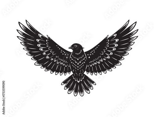 Black silhouette of a bird with outstretched wings in flight on a white background black and white flying
