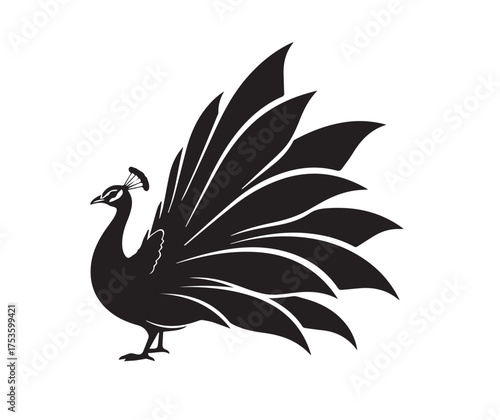 Black silhouette of a peacock with fanned tail feathers on a white background bird