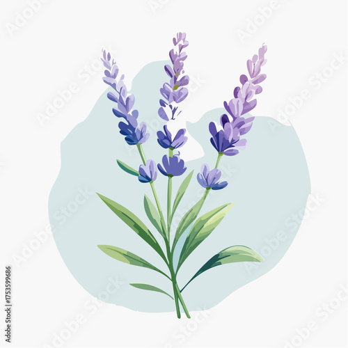 Lavendelzweig mit sanftem Farbverlauf