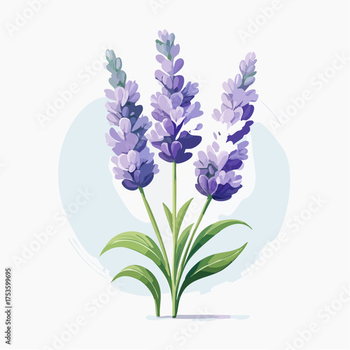 Lavendelzweig mit sanftem Farbverlauf