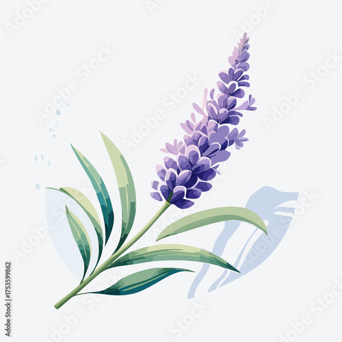 Lavendelzweig mit sanftem Farbverlauf