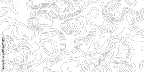 Topography background. Vector banner. Topography map background. Vector geographic contour map. Background of the topographic map. Topographic map lines, contour background.	