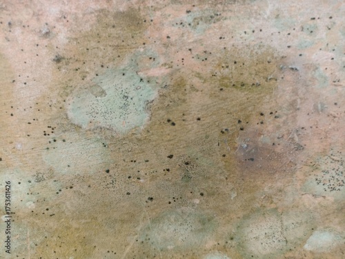 Old wall with green mold and weathered texture. Close-up of an aged wall surface with green mold spots and weathered stains, showing organic texture and natural decay