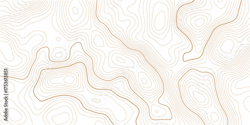 Topographic map pattern background vector. Abstract mountain terrain map background with abstract shape line texture. Design illustration for wall art, fabric, banner, wallpaper.