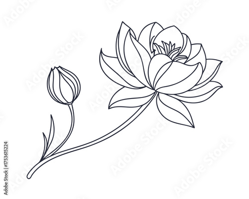 Elegant Lotus Flower Line Art Illustration with Bud on Stem Isolated on White Background for Design Projects