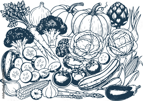 Vector art of a bountiful assortment of fresh vegetables, including pumpkins, squash, corn, broccoli, and cabbage