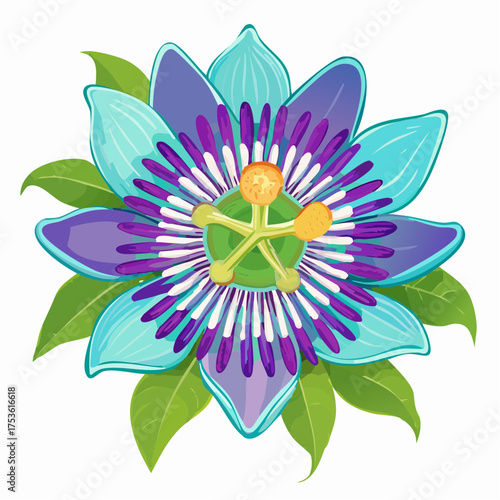 Passionsblume in exotischer Farbkomposition