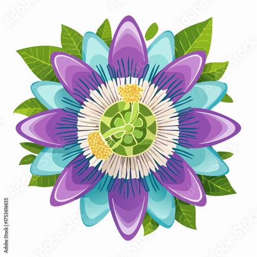 Passionsblume in exotischer Farbkomposition