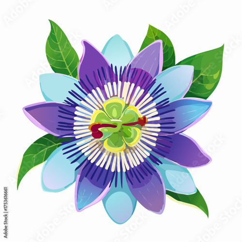 Passionsblume in exotischer Farbkomposition