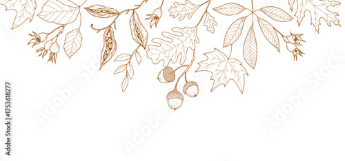 Autumn background or card template with seasonal brunch of plants and fall leaves. Delicate and elegant botanical elements for Hello autumn designs
