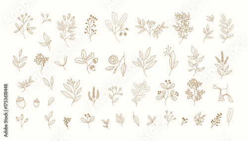 Autumn collection of cute colorful fall leaves from different trees and botanical brunch. Cozy seasonal design elements