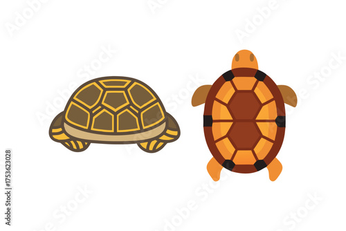 Two cartoon turtles shown from above with patterned shells