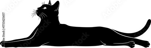 Sleek black cat relaxing on a white surface with alert gaze