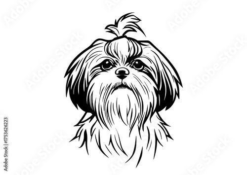 a black and white drawing of a shih tzu dog with a long beard and a mohawkblack, dog, head, illustration, image, white 