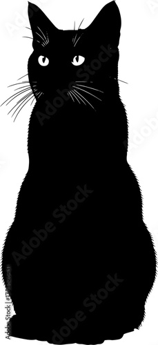 Mysterious black cat sitting gracefully with piercing white eyes detailed fur texture