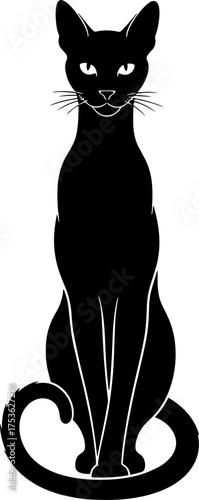 Mysterious black cat silhouette sitting elegantly with piercing eyes and curled tail