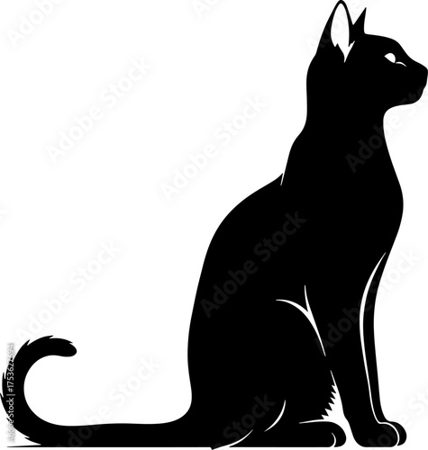 Elegant black cat silhouette sitting gracefully with alert eyes looking upwards