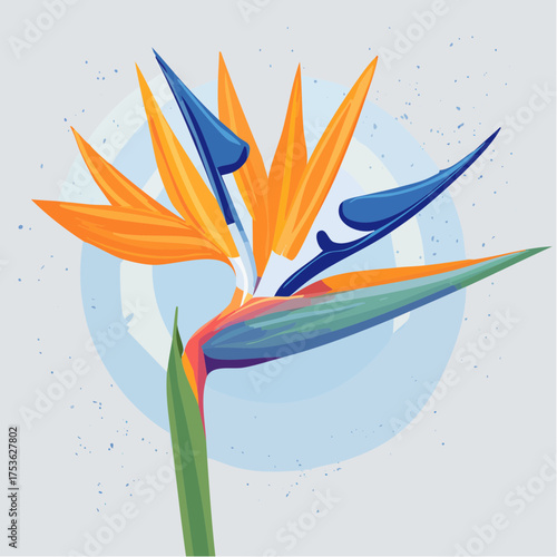 Strelitzie – Paradiesvogelblume mit tropischer Energie