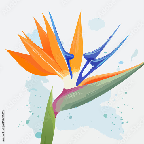 Strelitzie – Paradiesvogelblume mit tropischer Energie