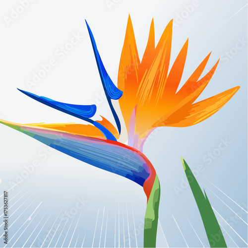 Strelitzie – Paradiesvogelblume mit tropischer Energie