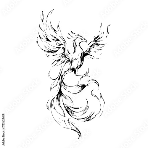 Stylized phoenix illustration with intricate feather details and a dynamic pose in black and white line art
