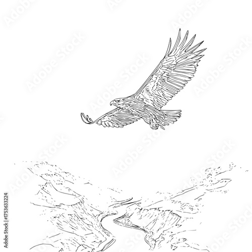 Sketch of an eagle soaring above a winding river cutting through a mountainous landscape in black and white