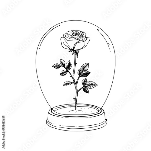 A delicate rose with leaves enclosed in a glass dome resting on a base in a black and white drawing