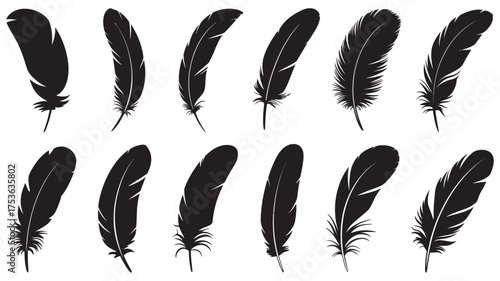 A black and white vector illustration of various bird feather silhouettes