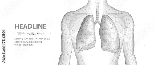 Lung and human body. Abstract vector 3d lungs on body background. Human health, respiratory system, pneumonia illness, biology science, smoker asthma, healthcare concept. Organ anatomy illustration

