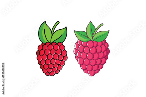 Two vibrant detailed raspberries with green leaves are prominently displayed