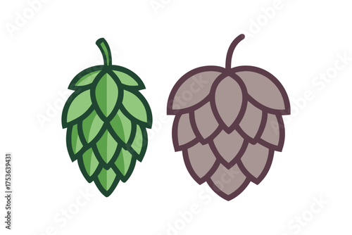 Two hop cones one green and fresh the other brown and dried