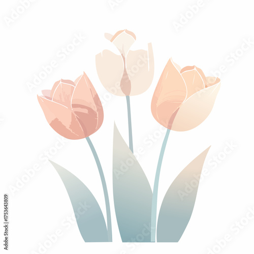 Tulpen in Creme und Rosé – klassisch und stilvoll