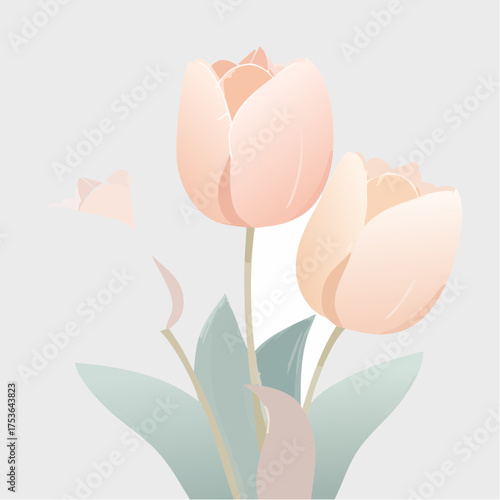 Tulpen in Creme und Rosé – klassisch und stilvoll