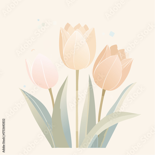 Tulpen in Creme und Rosé – klassisch und stilvoll