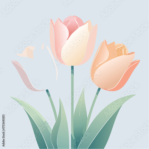 Tulpen in Creme und Rosé – klassisch und stilvoll