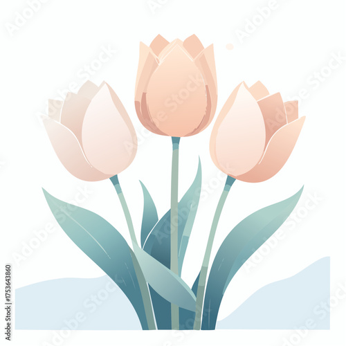 Tulpen in Creme und Rosé – klassisch und stilvoll