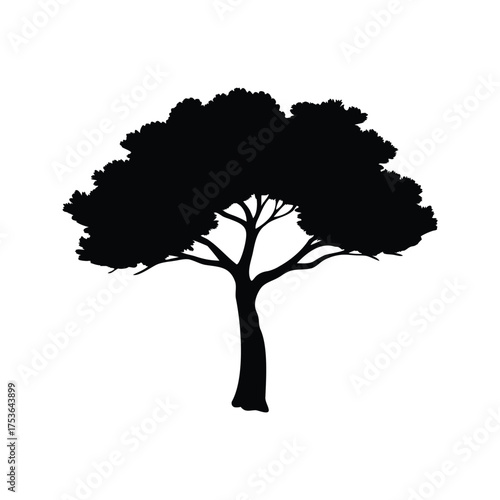Silhouette of a mature tree with broad crown against a white background, tree silhouette vector illustration