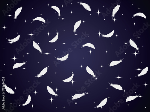 キラキラと羽が舞う幻想的な背景　ブラック