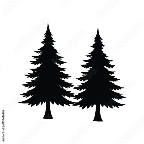 Silhouette of Two Evergreen Trees against White Background in Forest Landscape, two pine tree silhouette vector illustration