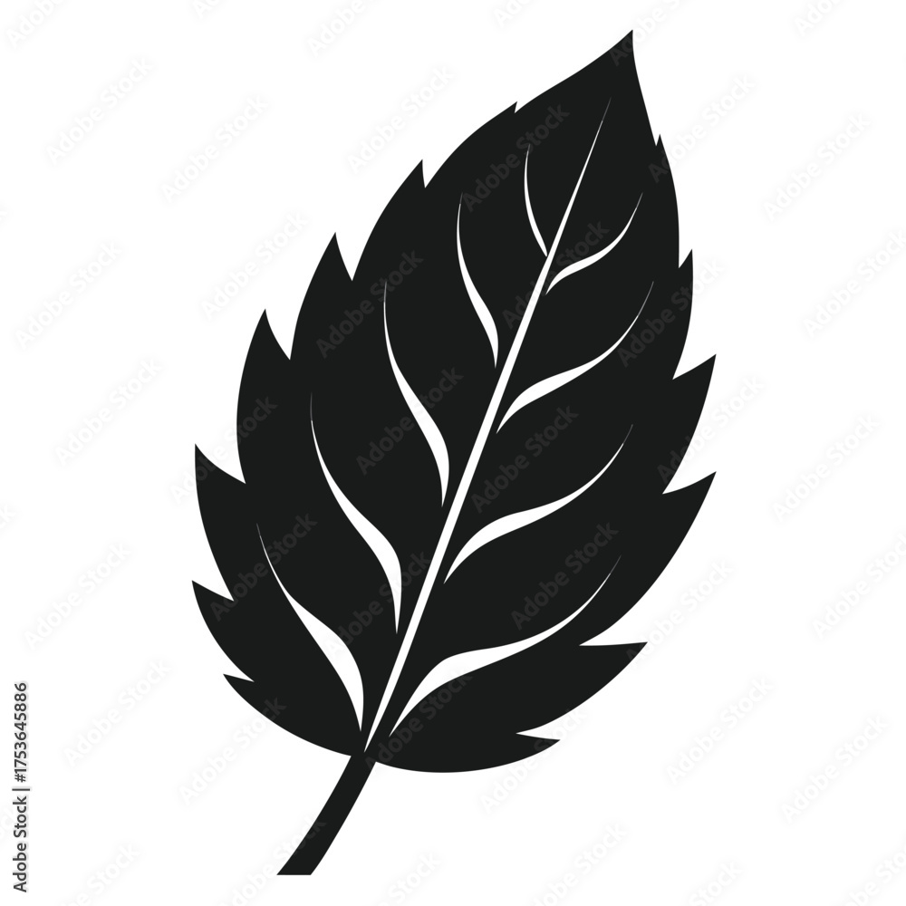Obraz premium black and white feathers