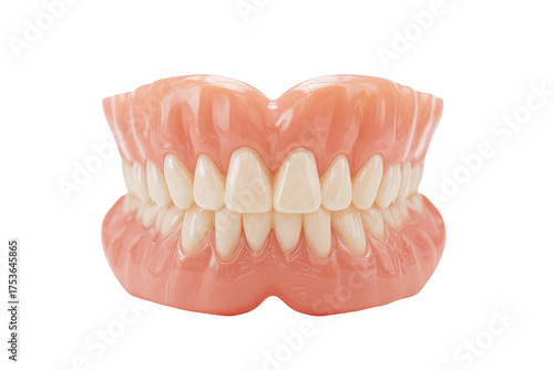Full dental denture,  pink base,  white teeth,  close-up