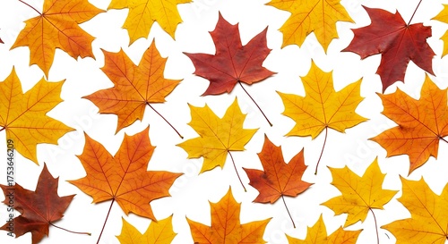 Warm tone autumn maple leaves texture