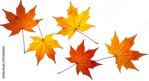 Pattern of colorful leaves representing autumn