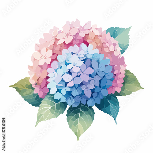 Hortensienblüte in Pastell – voller Leichtigkeit