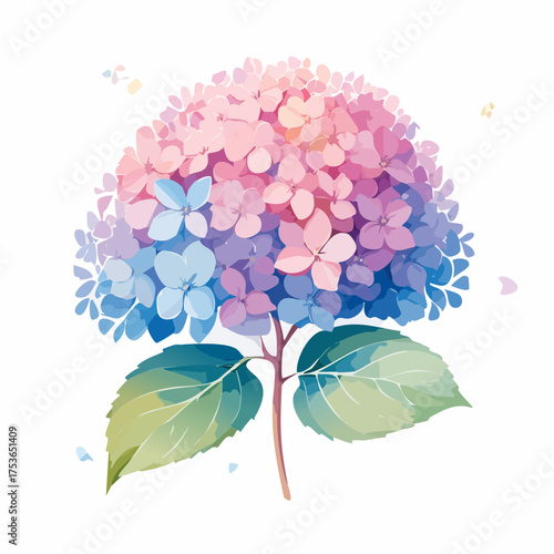 Hortensienblüte in Pastell – voller Leichtigkeit
